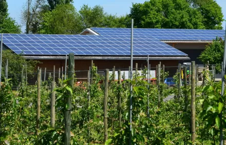 napelem rendszer vállalkozásoknak